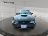 **Strickland's is home of the Hassle-Free car shopping experience. We make car buying fun, find your... (image 2)