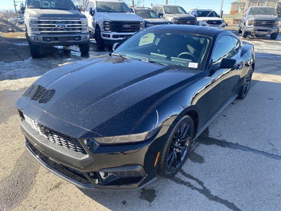  2024 Ford Mustang EcoBoost