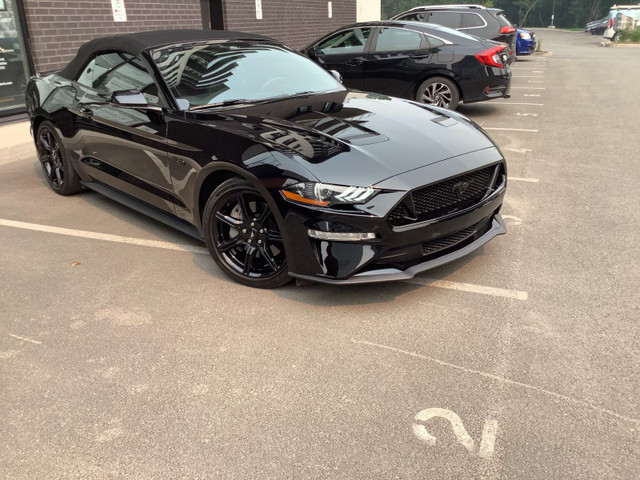 2019 Ford Mustang GT GT Premium in Cars & Trucks in Lévis