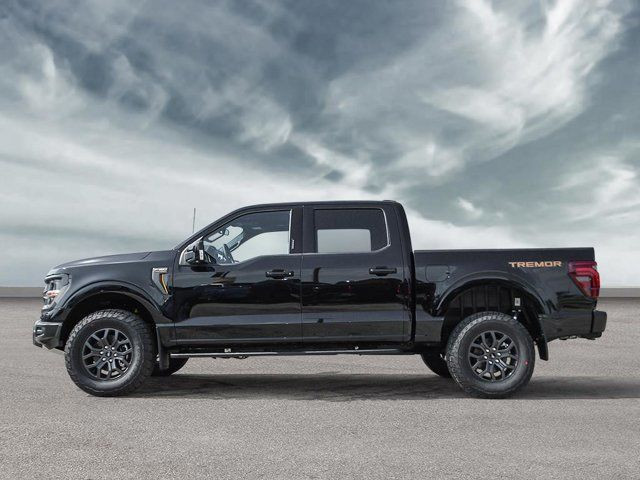 2025 Ford F-150 Tremor in Cars & Trucks in Winnipeg - Image 3