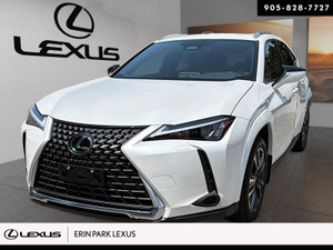 2025 Lexus UX UX 300H