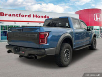 Dominate any terrain with this stunning 2019 Ford F-150 Raptor. This head-turning Blue Crew Cab boas... (image 5)