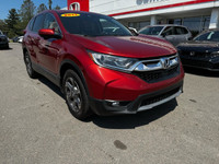 Anti-Lock Brakes; Fog Lights; Immobilizer; Back-Up Camera; Driver Information Centre; Deep Tinted Gl... (image 1)