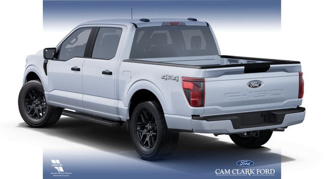 2025 Ford F-150 STX in Cars & Trucks in Red Deer - Image 2