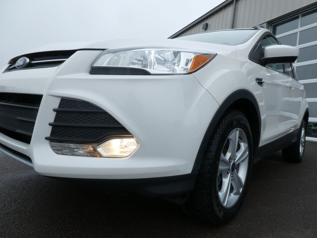  2015 Ford Escape 4WD, Leather, Sunroof, Back Up Camera in Cars & Trucks in Moncton - Image 3