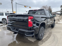 AMVIC Licensed Dealer Get great value with the Chevrolet Silverado 1500 Custom Trail Boss. This mode... (image 8)