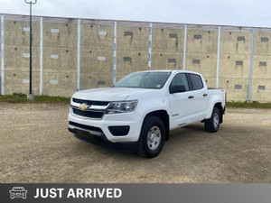 2019 Chevrolet Colorado 4WD Work Truck