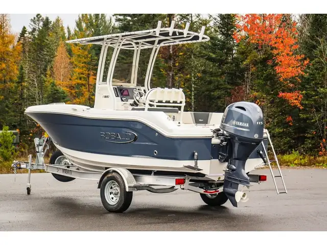 2024 Robalo R180 in Powerboats & Motorboats in Québec City - Image 12