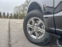 Experience the power and capability of this 2024 Ford F-150 XLT Crew Cab, a robust truck ready for a... (image 9)