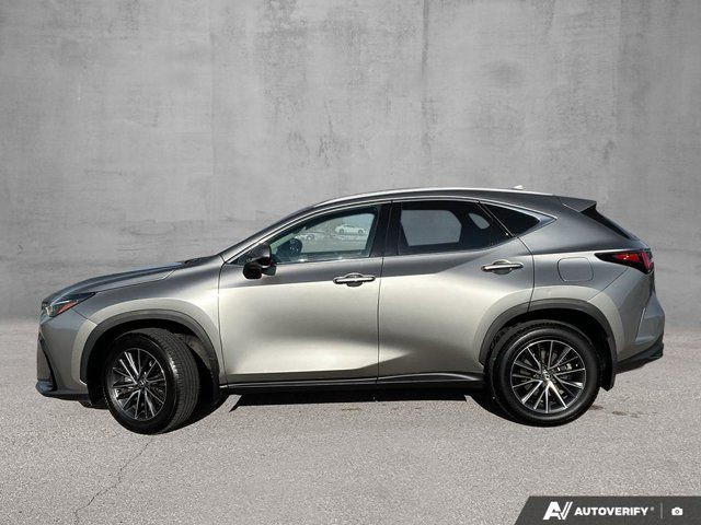 2024 Lexus NX NX 350 | One Owner | Sunroof | Heated Seats in Cars & Trucks in Edmonton - Image 2