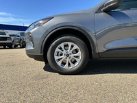 **WE WILL BEAT ANY FORD DEALER IN THE CITY** Built for drivers who crave excitement and versatility,... (image 2)