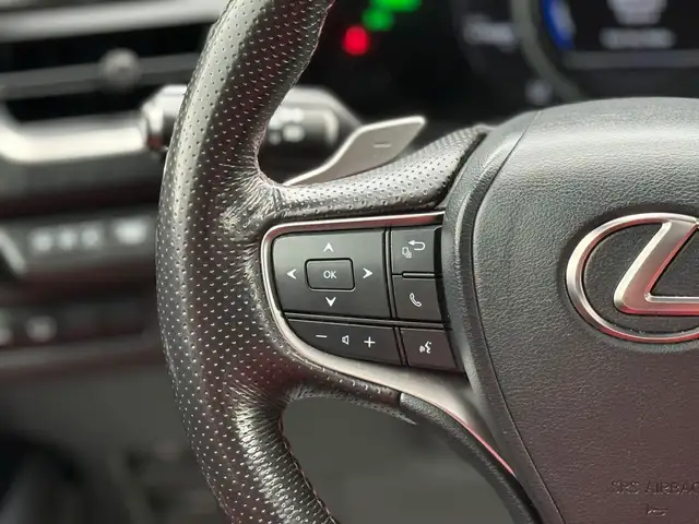 2019 Lexus UX 250h F SPORT | RED LEATHER | HYBRID in Cars & Trucks in City of Toronto - Image 18