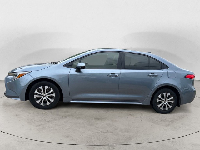 2024 Toyota Corolla Hybrid AWD| HTD SEATS|STILL HAS NEW CAR SMEL in Cars & Trucks in Winnipeg - Image 2