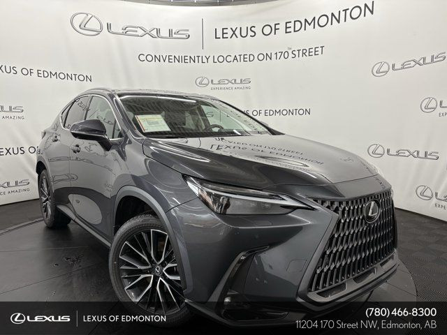 2024 Lexus NX 350 EXECUTIVE PACKAGE in Cars & Trucks in Edmonton