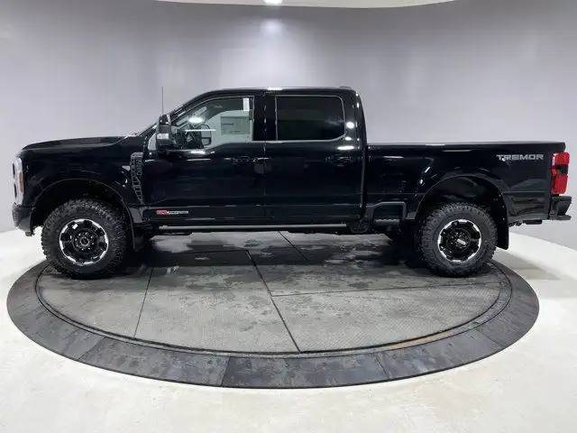 2025 Ford Super Duty F-250 SRW Platinum in Cars & Trucks in Strathcona County - Image 12