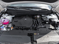 *Why choose 401 Dixie Hyundai for your next Hyundai?* Forget the trip to multiple Hyundai stores in... (image 5)