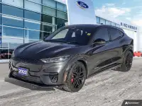 2022 Ford Mustang Mach-E GT Performance Edition Pano Roof | Ford
