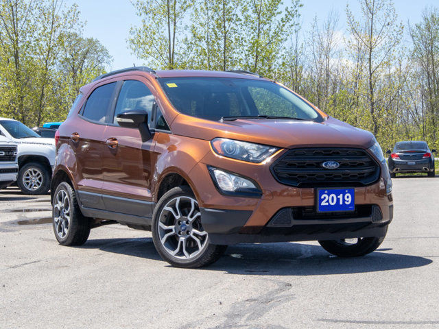 2019 Ford EcoSport SES - Sunroof Rain Detecting Heated Wipers in Cars & Trucks in Belleville - Image 2