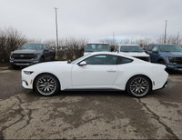 This brand new OXFORD WHITE 2024 FORD MUSTANG ECOBOOST COUPE PREMIUM is powered by a 2.3L ECOBOOST 3... (image 4)
