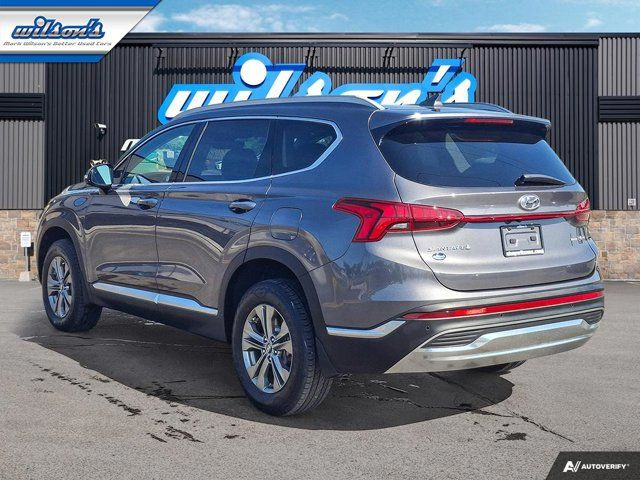 2023 Hyundai Santa Fe Hybrid Luxury Hybrid AWD | Leather in Cars & Trucks in Guelph - Image 3