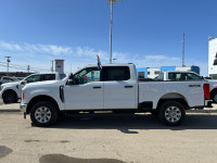 2023 Ford Super Duty F-350 SRW XLT 4WD Crew Cab 6.75' Box, 7.3L 2V V8, Gas, 10-Spd Automatic, Class... (image 8)