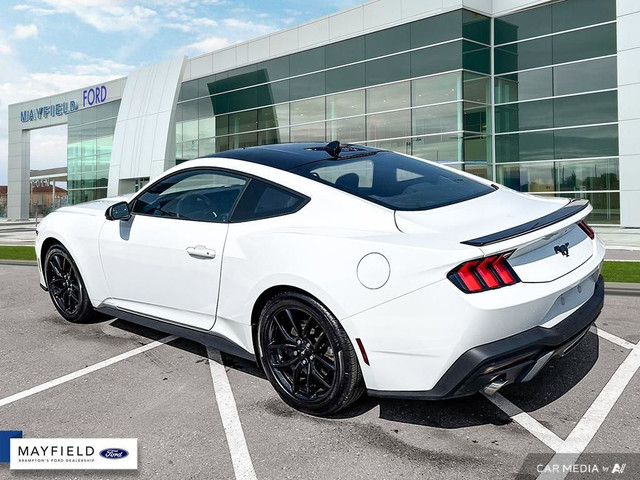 2024 Ford Mustang in Cars & Trucks in Mississauga / Peel Region - Image 4