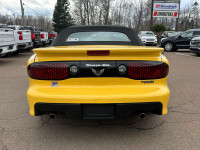 Low Mileage! ** PLEASE NOTE: This vehicle can only be seen at MacDonald Buick GMC in Moncton, New Br... (image 4)