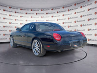 Thanks for viewing our House Of Cars McKnight inventory! AMVIC licensed dealer! Unleash your inner c... (image 3)