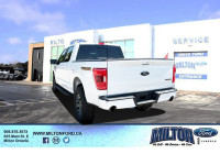 2023 F-150 - TREMOR SERIES - AUTO HIGHBEAMS - REAR DEFROSTER/PRIVACY GLASS - PICKUP BOX TIE DOWN HOO... (image 3)