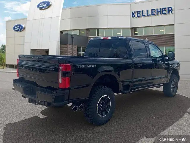 2025 Ford Super Duty F-350 SRW Platinum in Cars & Trucks in Brandon - Image 6