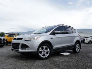 2015 Ford Escape SE 4WD 4dr SE
