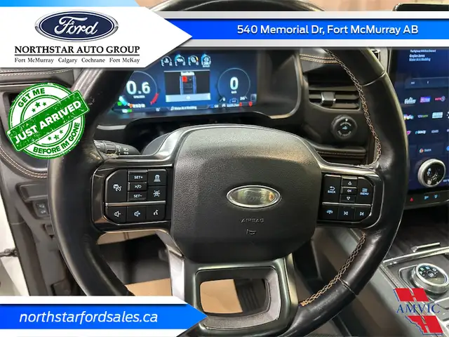 2022 Ford Expedition Platinum - Leather Seats in Cars & Trucks in Fort McMurray - Image 20