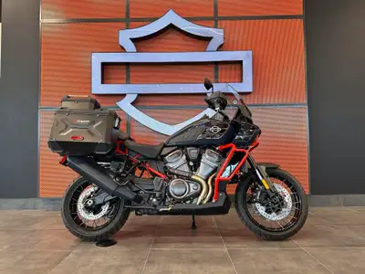 The most functional go-anywhere motorcycle in Harley-Davidson’s lineup, with limited-edition paint a...