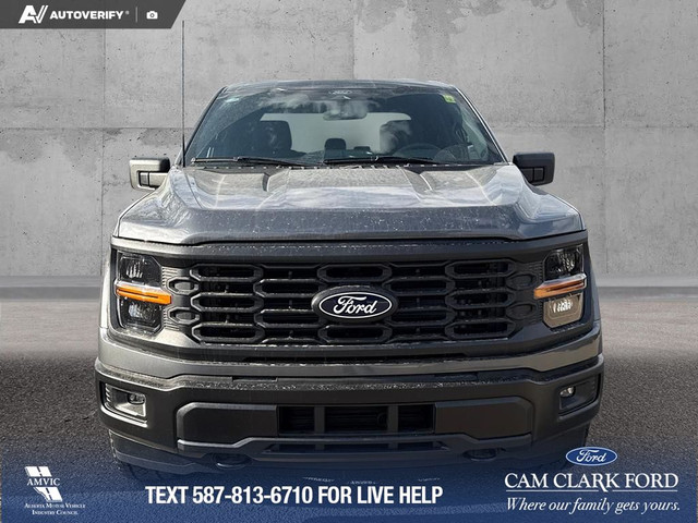 2025 Ford F-150 STX in Cars & Trucks in Red Deer - Image 2