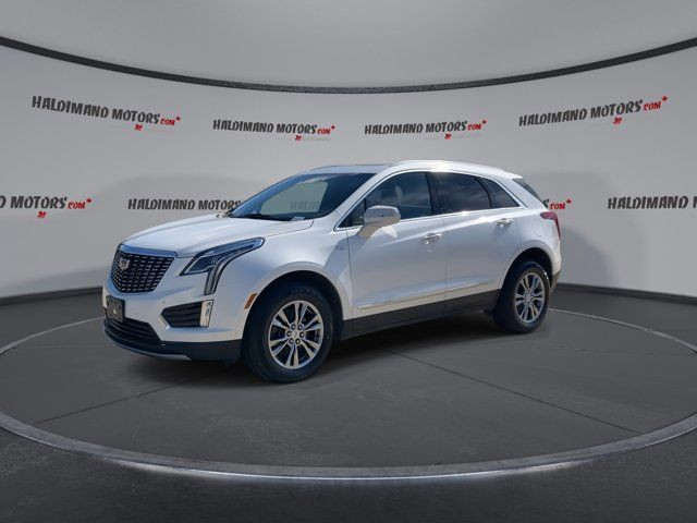 2023 Cadillac XT5 AWD Premium Luxury in Cars & Trucks in Hamilton - Image 4