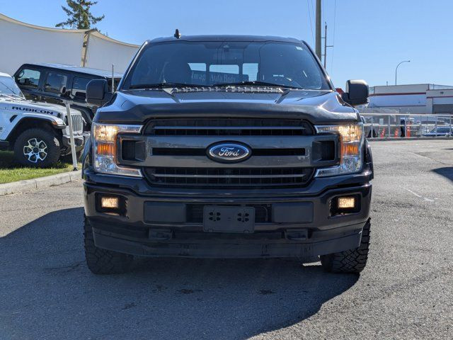 2019 Ford F-150 XLT in Cars & Trucks in Calgary - Image 3