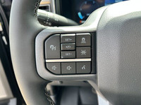 The 2025 Ford Super Duty is a great vehicle for those drivers who need more power than a standard pi... (image 9)