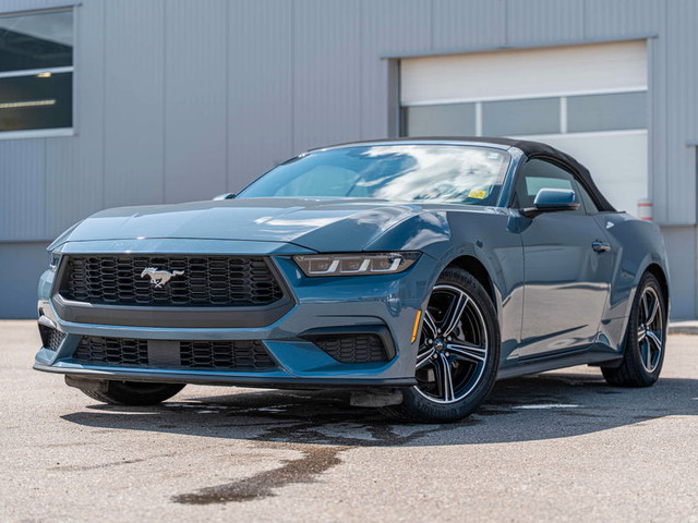 2024 Ford Mustang EcoBoost Premium in Cars & Trucks in Calgary