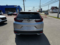 Anti-Lock Brakes; Fog Lights; Immobilizer; Back-Up Camera; Driver Information Centre; Deep Tinted Gl... (image 7)