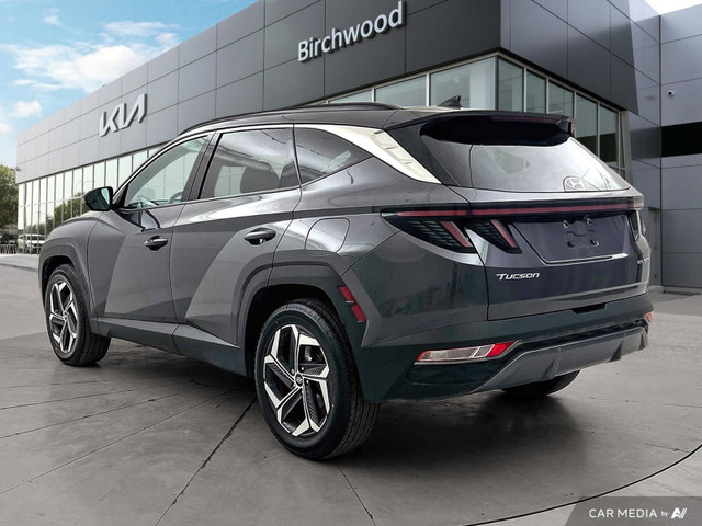 2023 Hyundai Tucson Hybrid Ultimate AWD | Local Vehicle | Heated in Cars & Trucks in Winnipeg - Image 4