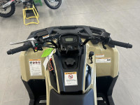 2024 Arctic Cat Alterra 300