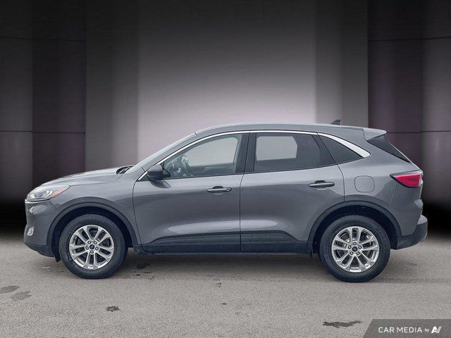 2022 Ford Escape SE | No Accidents | Heated Seats | Carplay in Cars & Trucks in Cambridge - Image 2