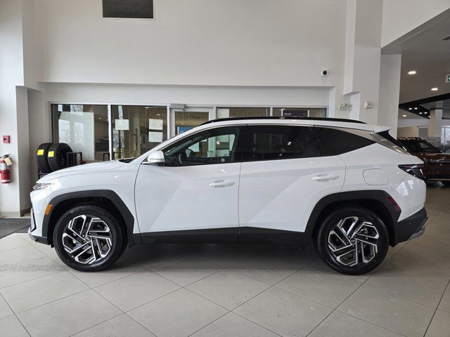2025 Hyundai TUCSON PLUG-IN HYBRID Ultimate in Cars & Trucks in Calgary - Image 3