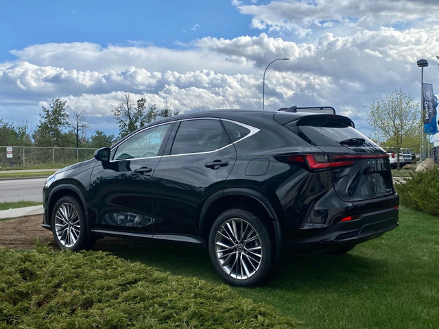 2022 Lexus NX 350 in Cars & Trucks in Calgary - Image 4