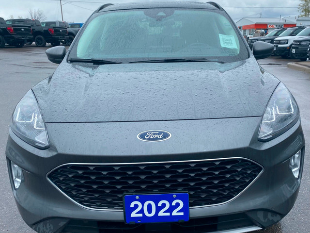 2022 Ford Escape SEL Hybrid in Cars & Trucks in Sudbury - Image 3