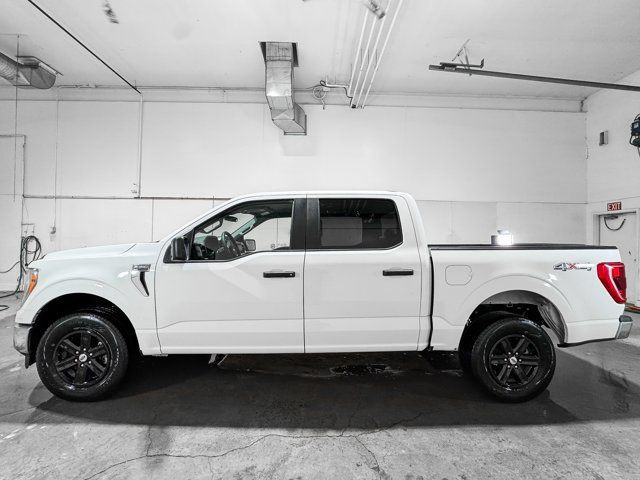 2022 Ford F-150 XLT | No Accident | 6-Passenger | Bed Liner in Cars & Trucks in Grande Prairie - Image 2