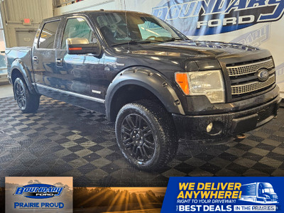  2011 Ford F-150 PLATINUM - FOR PARTS ONLY - CANNOT BE REGISTERE
