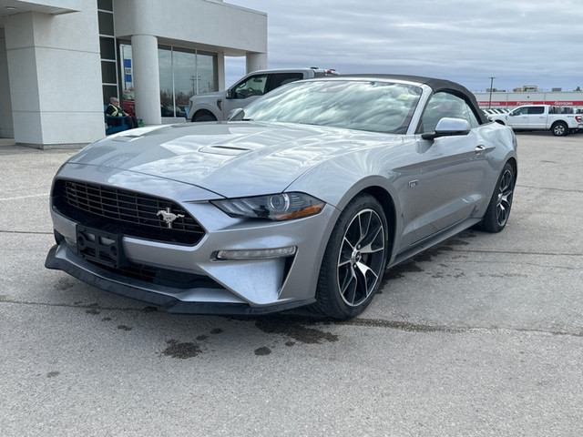 2022 Ford Mustang EcoBoost - Low Mileage in Cars & Trucks in Winnipeg - Image 2