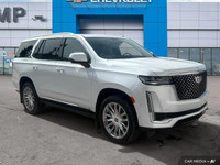 Saskatoon Motor Products - 2023 Cadillac Escalade Premium Luxury Escalade Premium Luxury, 4D Sport U... (image 7)