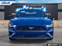 Look at this certified 2022 Ford Mustang EcoBoost Premium Convertible | Manual | 101A Group | Active... (image 7)